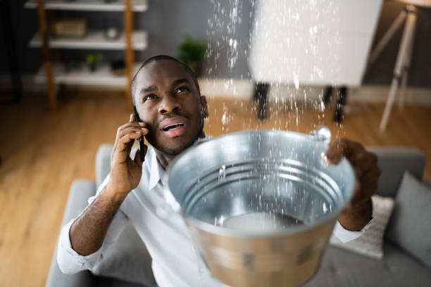 Best Local water damage restoration  in Englewood, OH