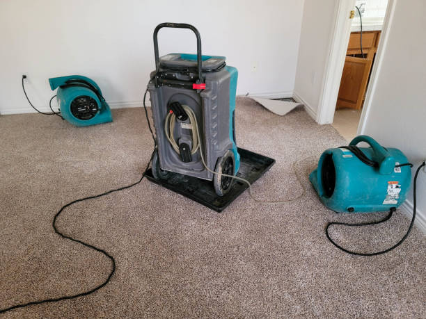 Best Local water damage restoration  in Englewood, OH