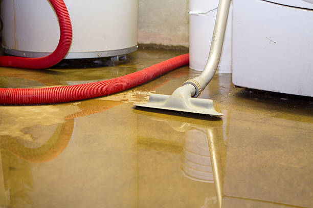 Best Flood restoration services  in Englewood, OH