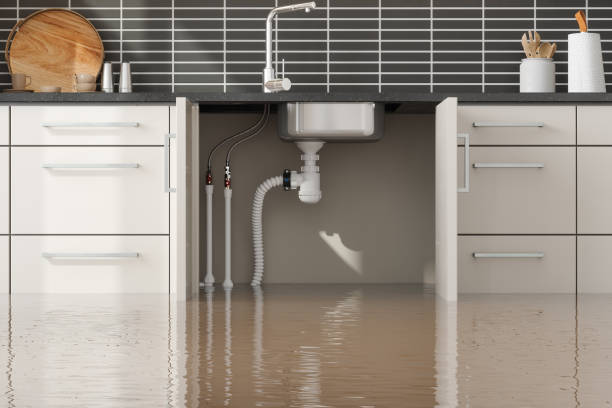 Best Emergency water extraction  in Englewood, OH