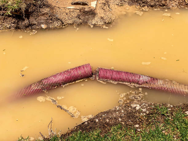 Best Local water damage restoration  in Englewood, OH